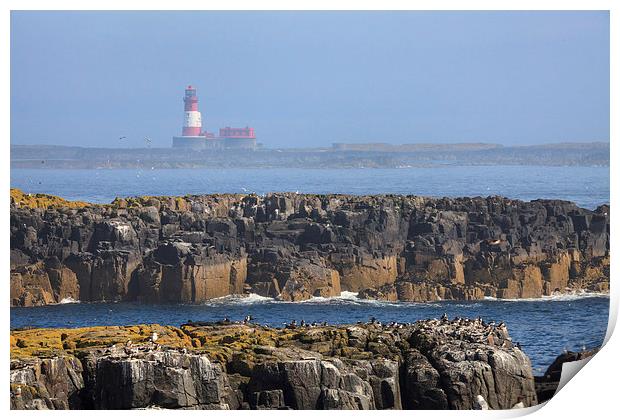 Longstone Lighthouse Print by Andrew Ray