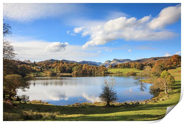 Loughrigg Tarn Print by Andrew Ray