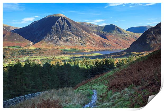 Loweswater Terrace Print by Andrew Ray