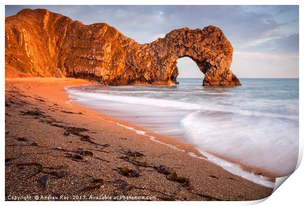 Late Light at Durdle Door Print by Andrew Ray