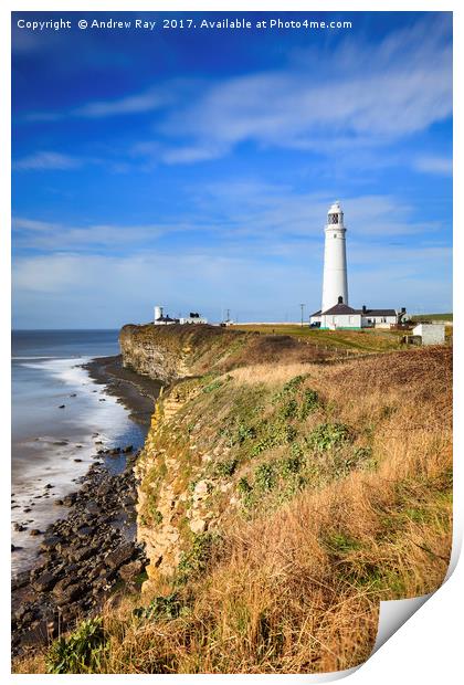 Nash Point Lighthouses Print by Andrew Ray