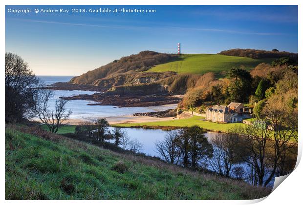 Morning at Polridmouth Cove Print by Andrew Ray