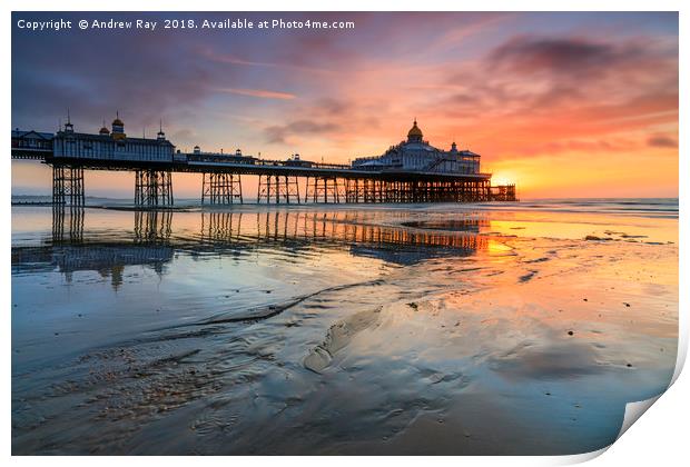 Sunrise at Eastbourne Beach Print by Andrew Ray