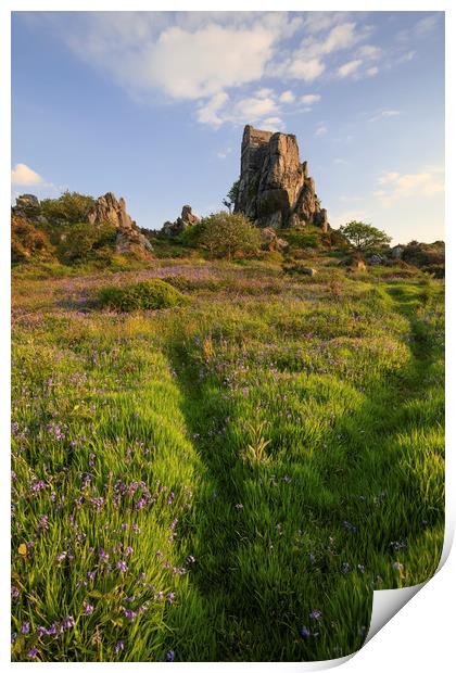 Bluebells at Roche Rock Print by Andrew Ray