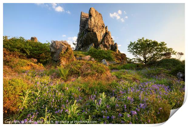 Spring at Roche Rock Print by Andrew Ray