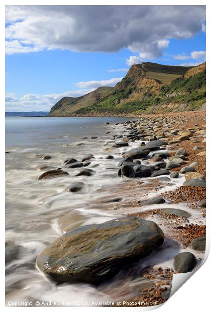 Rocky shore (Eype Mouth Beach Print by Andrew Ray