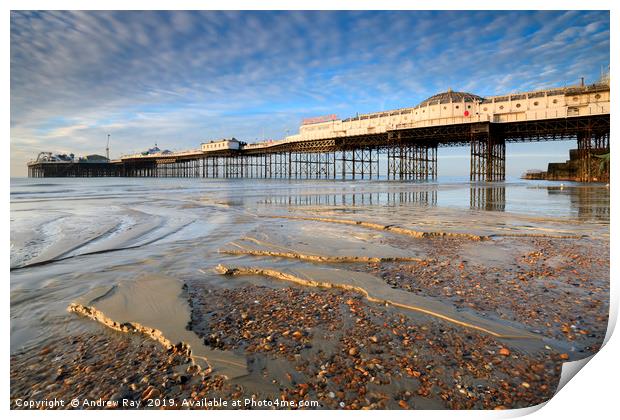 Morning light on Palace Pier (Brighton) Print by Andrew Ray