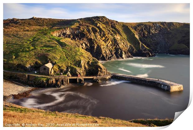 Harbour view (Mullion Cove) Print by Andrew Ray