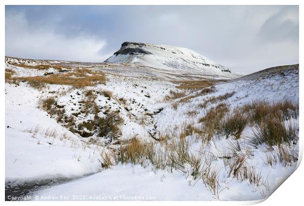 Snowy morning (Pen-y-ghent) Print by Andrew Ray