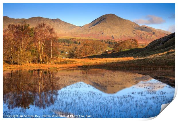 Reflections in Kelly Hall Tarn Print by Andrew Ray