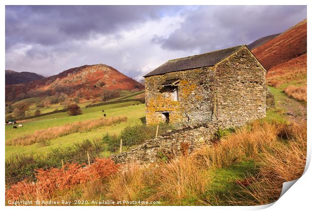 Barn in the Troutbeck Valley Print by Andrew Ray