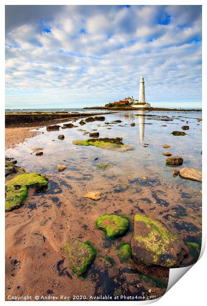 St Mary's Lighthouse Print by Andrew Ray