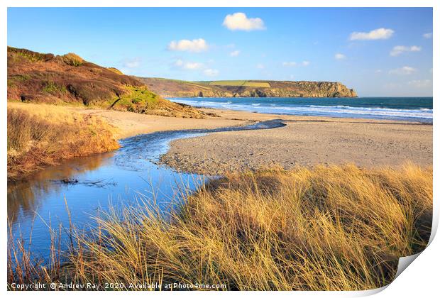 Pendower Beach Print by Andrew Ray