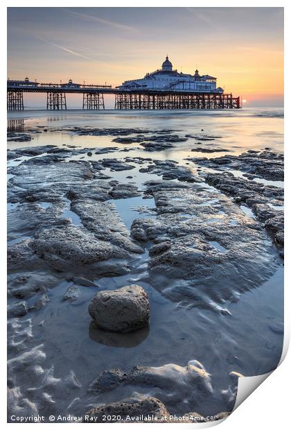 Towards Eastbourne Pier Print by Andrew Ray