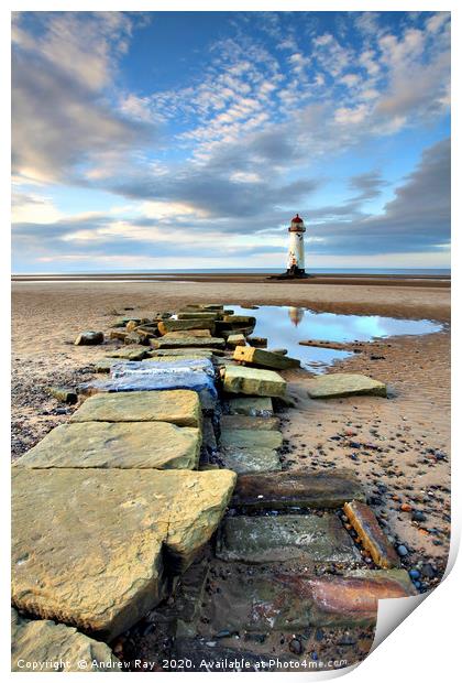 Path To Lighthouse Print by Andrew Ray