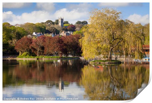 Spring at Helston Boating Lake Print by Andrew Ray
