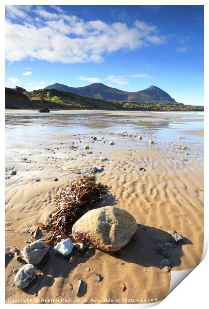 Yr Eifl from Trefor Beach Print by Andrew Ray