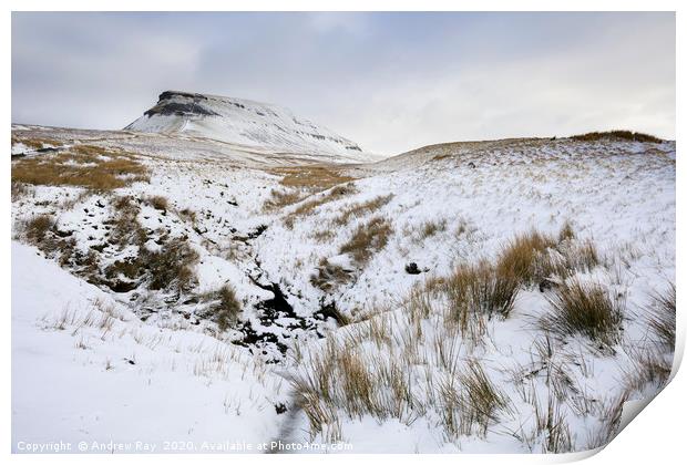 Snow at Pen-y-ghent Print by Andrew Ray