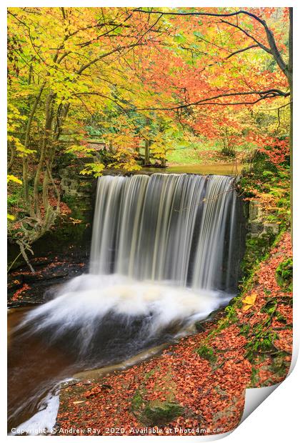 Autumn colour (Nant Mill Waterfall) Print by Andrew Ray