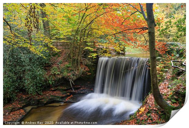 Nant Mill Waterfall view. Print by Andrew Ray
