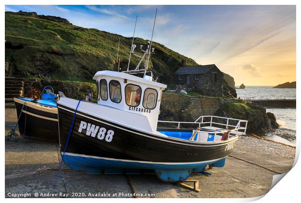 Late light at Mullion Cove Print by Andrew Ray