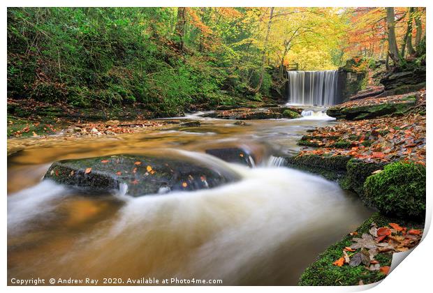 Autumn at Nant Mill Waterfall Print by Andrew Ray