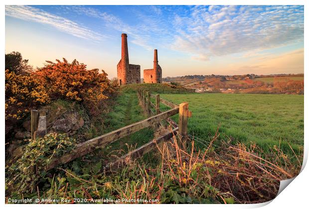 Morning at Wheal Unity Wood Engine Houses Print by Andrew Ray