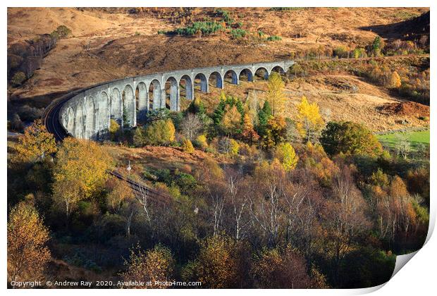 Glenfinnan Viaduct Print by Andrew Ray