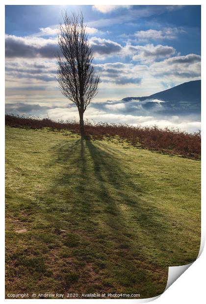 Winter tree above the Usk Valley Print by Andrew Ray