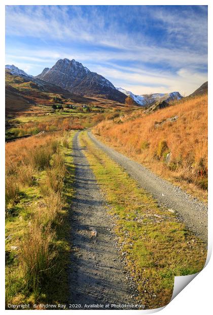 Track towards Tryfan Print by Andrew Ray