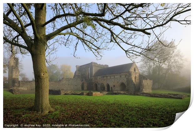 Valle Crucis Abbey Print by Andrew Ray