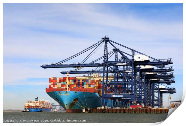 Felixstowe Container Port Print by Andrew Ray