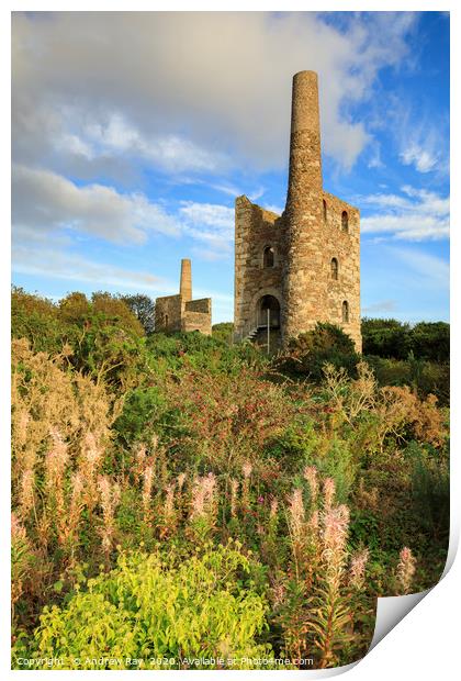 Summer evening (Wheal Peevor) Print by Andrew Ray