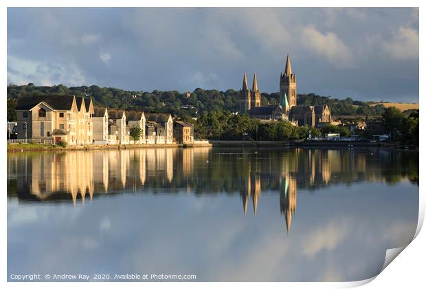 Boscawen Park view (Truro) Print by Andrew Ray