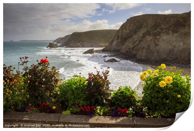 Floral display (St Agnes) Print by Andrew Ray