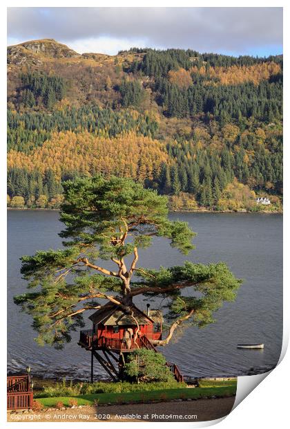 Tree house (Loch Goil) Print by Andrew Ray