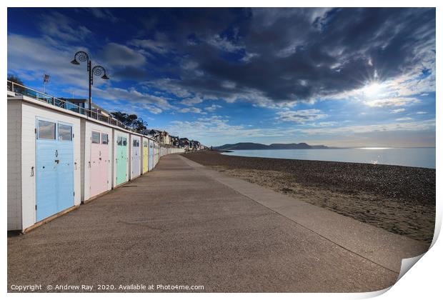 Beach huts at Lyme Regis Print by Andrew Ray