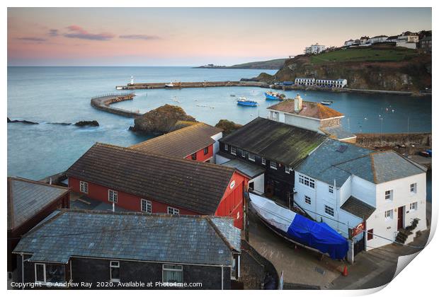 Above the museum (Mevagissey). Print by Andrew Ray