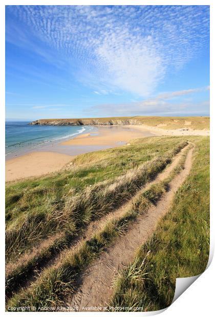Coast Path to Holywell Print by Andrew Ray