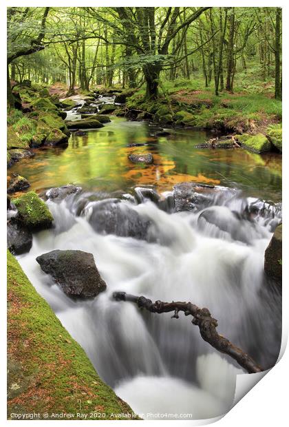 Falls View (Golitha Falls) Print by Andrew Ray