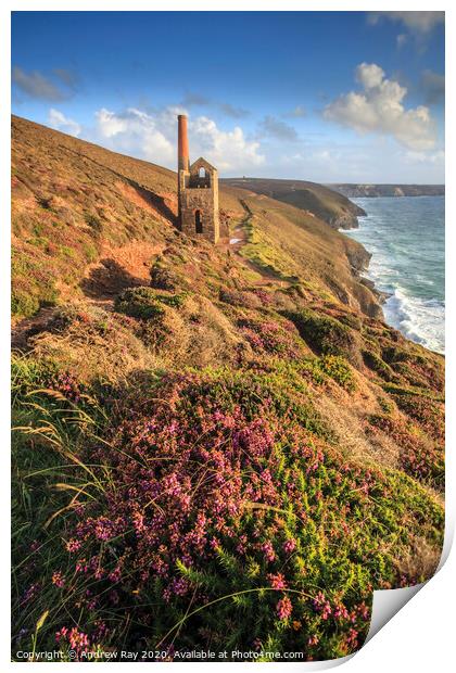 Engine House at Wheal Coates Print by Andrew Ray