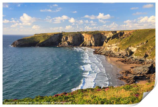 Coast Path View (Trebarwith Strand) Print by Andrew Ray