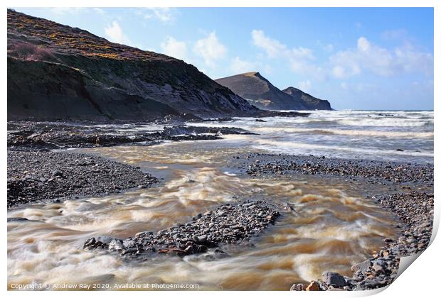 Stream at Crackington Haven Print by Andrew Ray