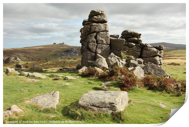 Hound Tor view (Dartmoor) Print by Andrew Ray