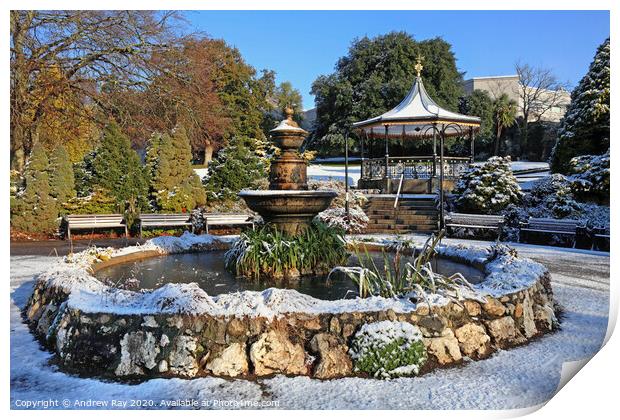 Winter at Victoria Gardens (Truro) Print by Andrew Ray
