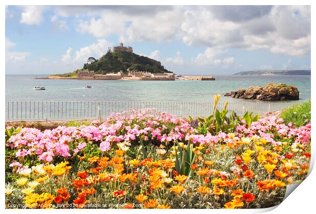 Floral Display St Michael's Mount Print by Andrew Ray