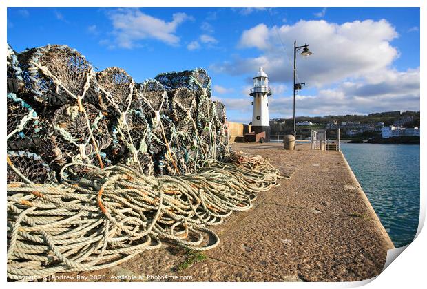 Smeaton's Pier (St Ives) Print by Andrew Ray