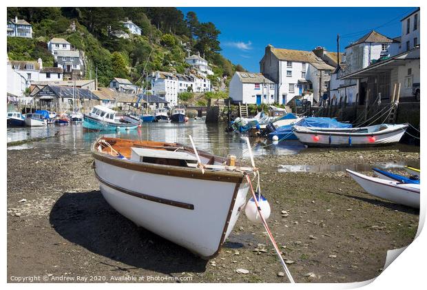 Polperro Harbour Print by Andrew Ray