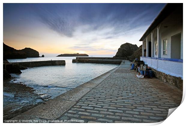 Mullion Cove Pier Print by Andrew Ray