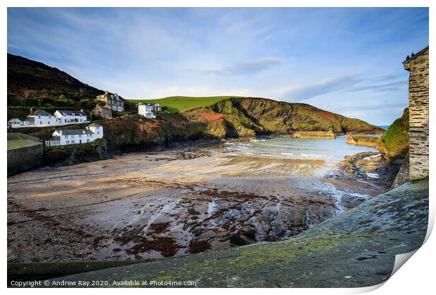 Low tide at Porth Issac Print by Andrew Ray